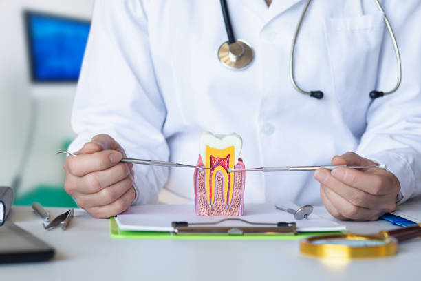 Best Emergency Dental Extractions in Fox Point, WI